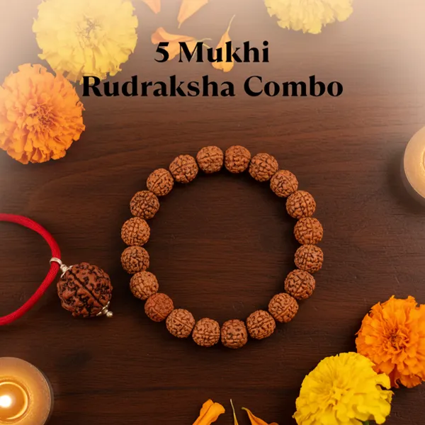 Brown_5_Mukhi_Rudraksha_Combo_For_Home_And_Office