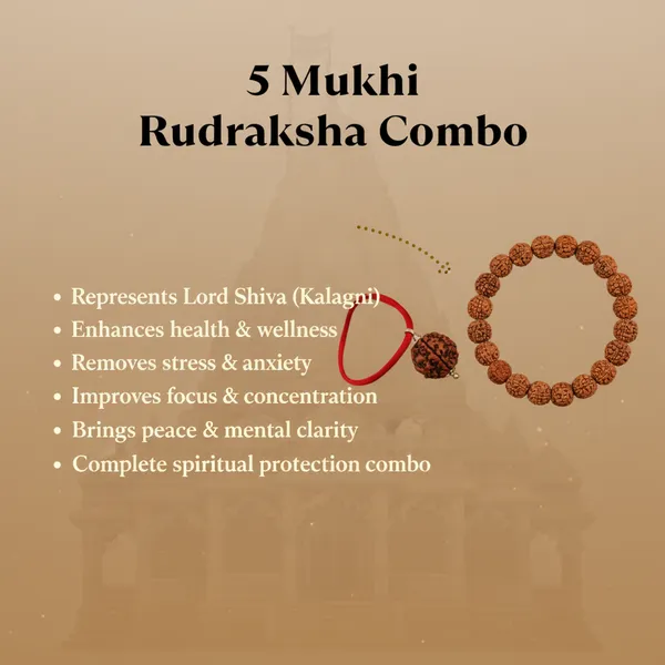 Brown_5_Mukhi_Rudraksha_Combo_For_Home_And_Office