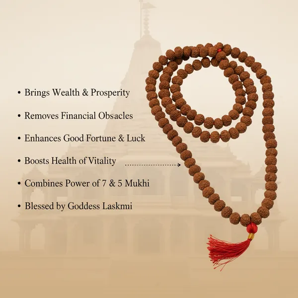 7_Mukhi_Rudraksha_Mala