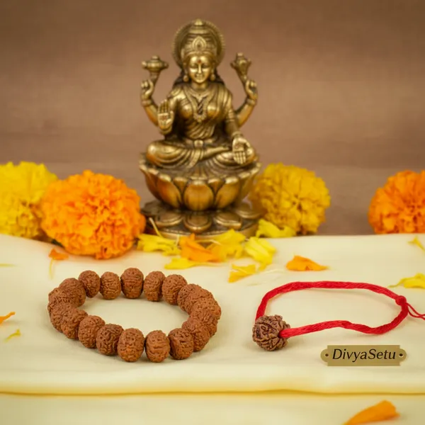 Brown_7_Mukhi_Rudraksha_Combo_For_Home_And_Office