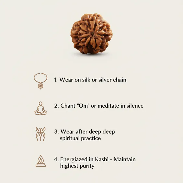 Kashi_Siddh_Nepal_Origin_Nirakar_Rudraksha