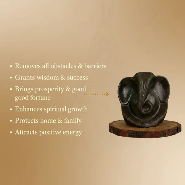 Pyrite_Ganesh_Ji_Murti_With_7_Mukhi_Rudraksha