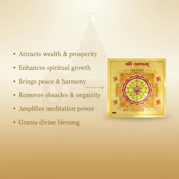 7_Mukhi_Rudraksha_With_Free_Shree_Yantra_6_Inch