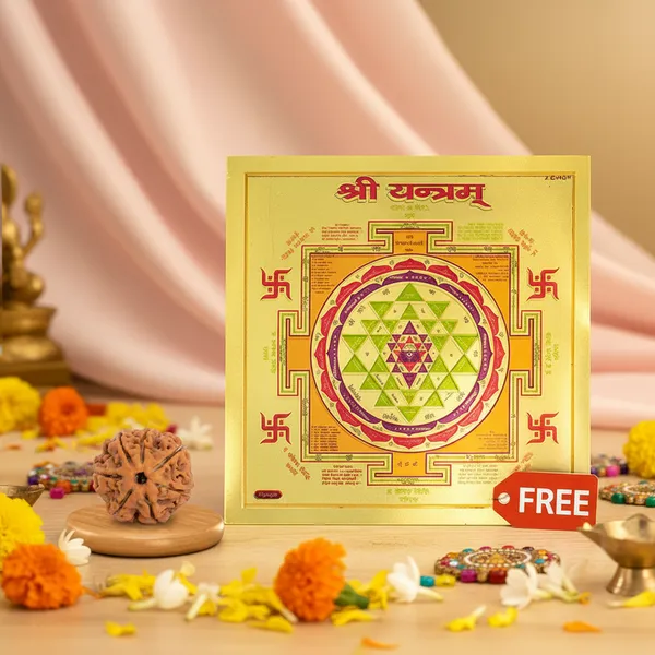 7_Mukhi_Rudraksha_With_Free_Shree_Yantra_6_Inch