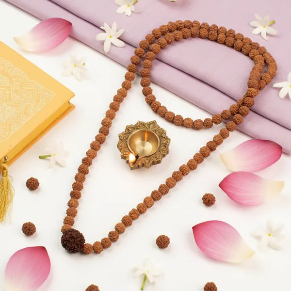 5_Mukhi_Rudraksha_Bead_In_5_Mukhi_Rudraksha_Mala