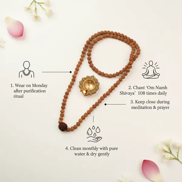 5_Mukhi_Rudraksha_Bead_In_5_Mukhi_Rudraksha_Mala