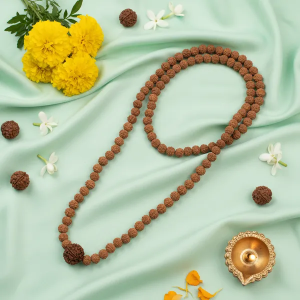 6_Mukhi_Rudraksha_Bead_In_5_Mukhi_Rudraksha_Mala
