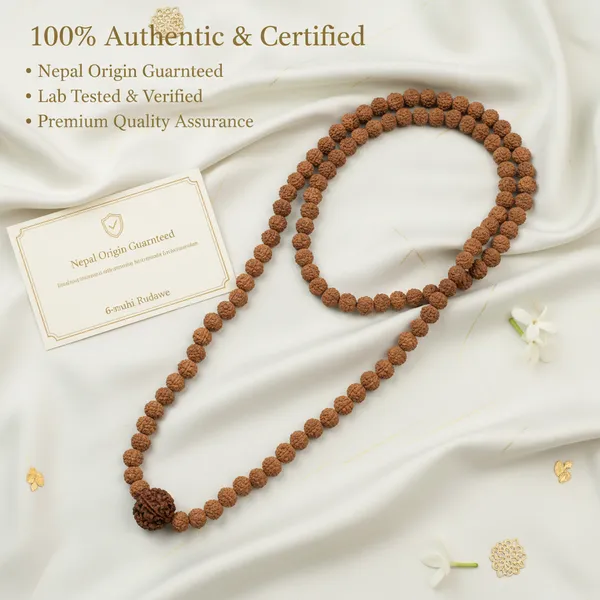 6_Mukhi_Rudraksha_Bead_In_5_Mukhi_Rudraksha_Mala