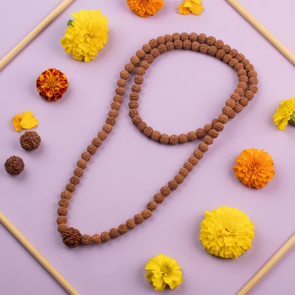 3_Mukhi_Rudraksha_Bead_In_5_Mukhi_Rudraksha_Mala