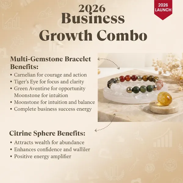 Multicolor_2026_Business_Growth_Combo_For_Business_Owners