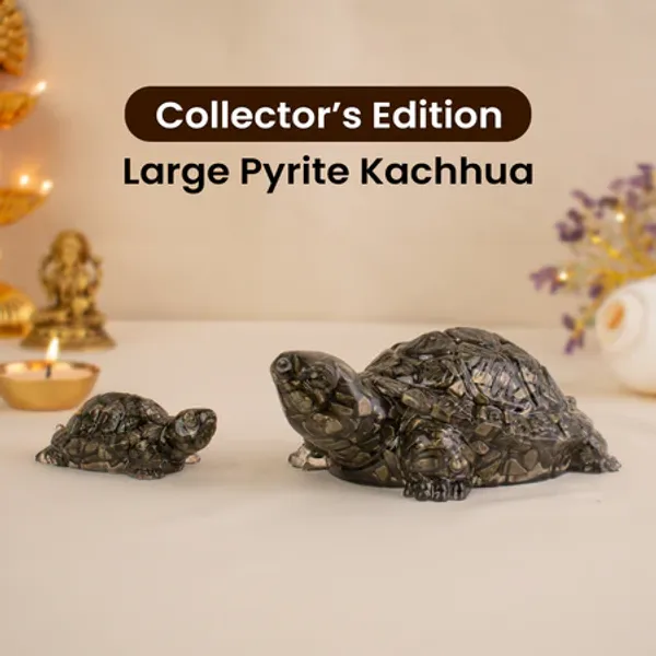 Collector_Edition_Pyrite_Tortoise_Kachua_Big_Size_8X_Heavier