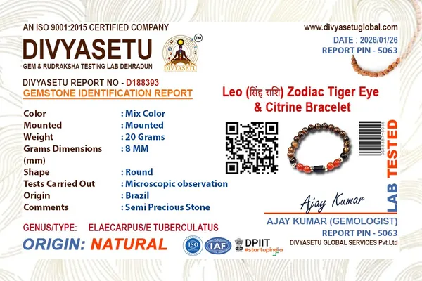 Leo_Zodiac_Tiger_Eye_Citrine_Bracelet