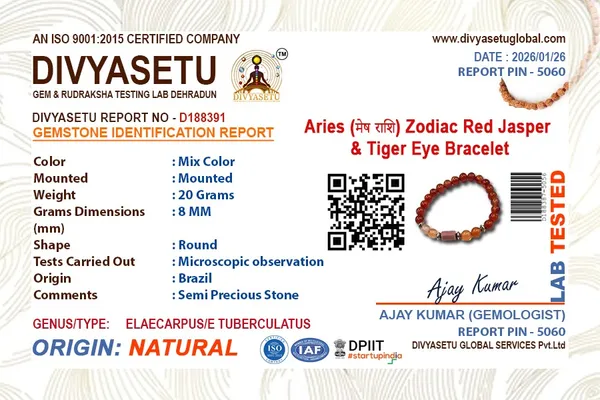 Aries_Zodiac_Red_Jasper_Tiger_Eye_Bracelet