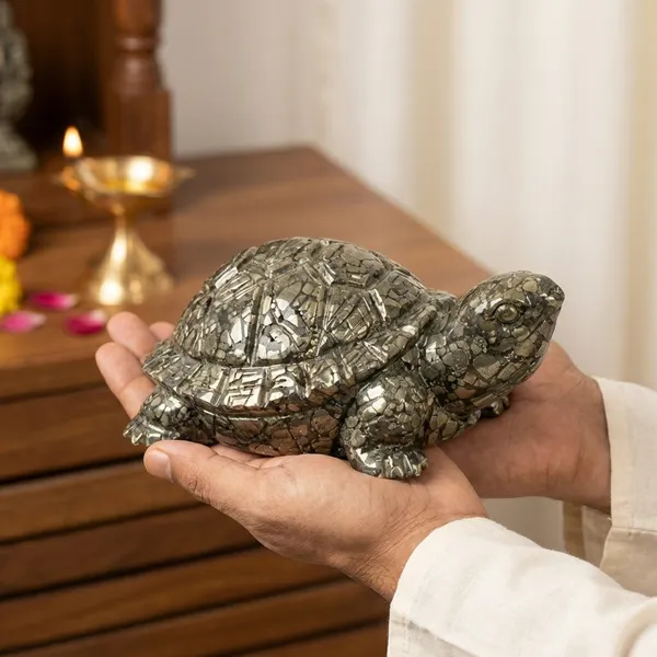 Collector_Edition_Pyrite_Tortoise_Kachua_Big_Size_8X_Heavier