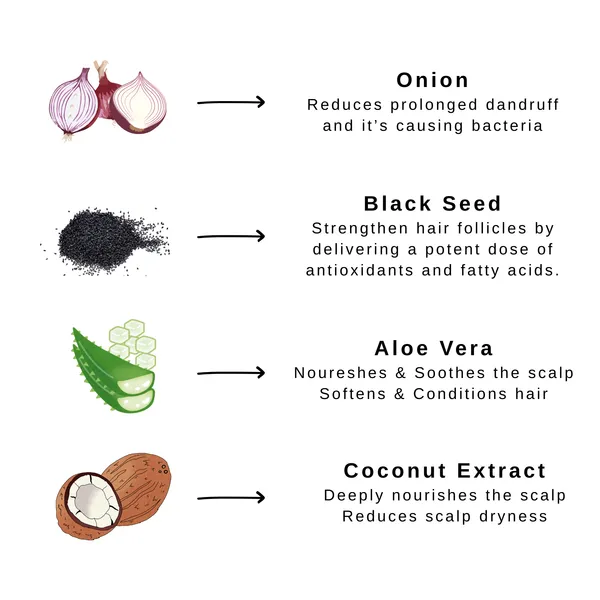 Onion_&_Black_Seed_Hair_Conditioner_-_Deep_Hydrating_Formula_(210Ml)