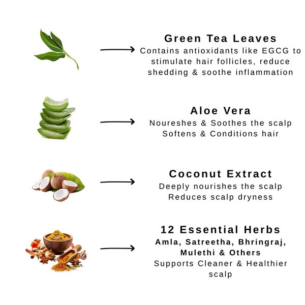 Purifyig_Therapy_Hair_Conditioner_-_Enriched_With_Green_Tea_&_12_Essential_Herbs_(200Ml)