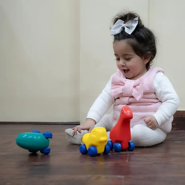 Multicolor_Little_Pets_Shape_Toys_Set_For_Kids
