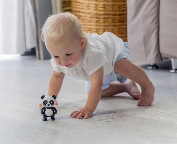 Black_Panda_Bear_Toy_Figure_For_Kids