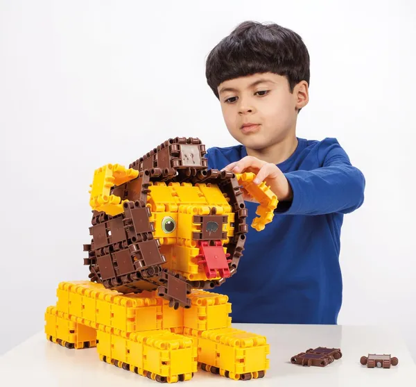 Multicolor_Clics_Building_Blocks_Set_For_Kids