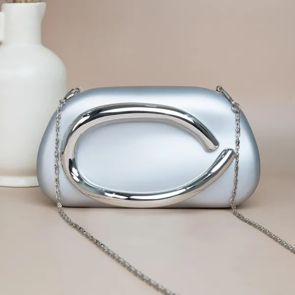 Designer_Acrylic_Clutch
