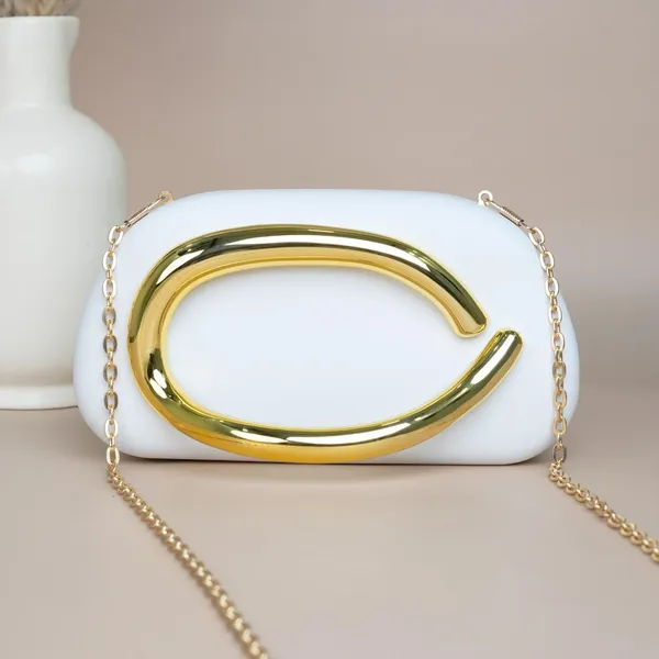 Designer_Acrylic_Clutch