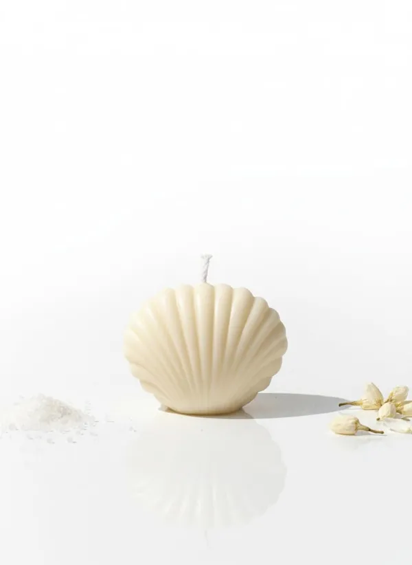 White_Auracure_Coastal_Seashell_Soy_Candle_Beach_Inspi_Handmade_Decorative_Candle__Medium