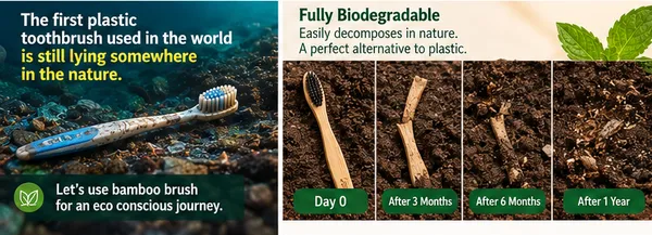 Being_Green_Bamboo_Toothbrush_Pack_of_5