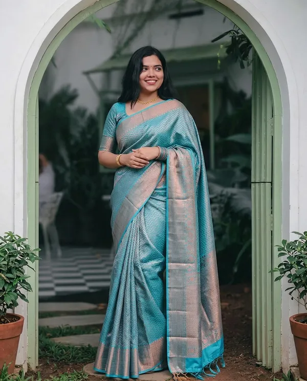 Sky_Blue_Tanchoi_Silky_Banarasi_Saree_With_All-Over_Woven_Pattern_And_Elegant_Border