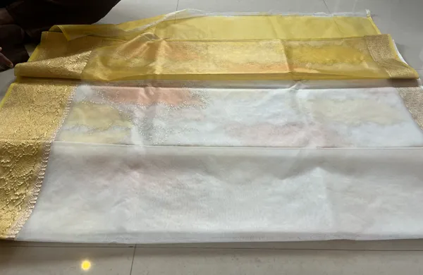 Sunlit_Pastel_Organza_Rangkat_Saree_With_Embroidery_And_Zari_Border