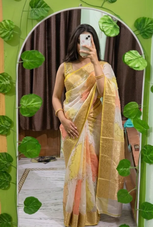 Sunlit_Pastel_Organza_Rangkat_Saree_With_Embroidery_And_Zari_Border