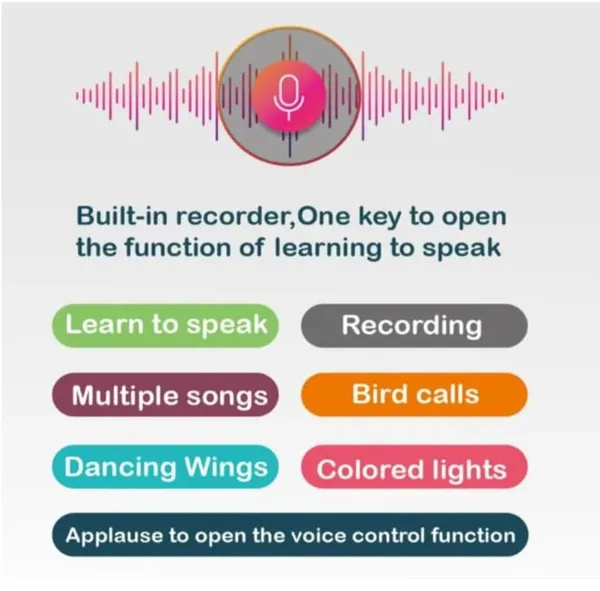 NOH_Talking_Bird_Toys_for_Kids_Speaking_|_Interactive_Toy_|_Singing_&_Chirping_in_Bird_Cage_|_Best_Gift_for_Babies_Kids_Children_|_Educational_&_Engaging_Toy_(Multicolor)