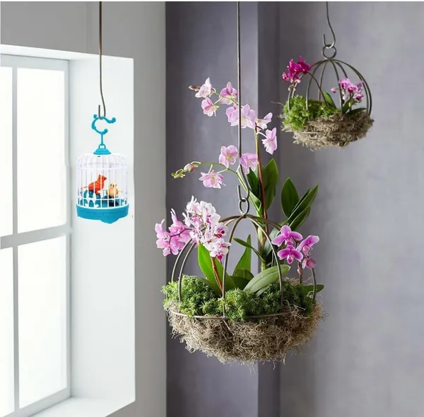 NOH_Smart_Talking_Bird_for_Kids_|_Musical_&_Speaking_Interactive_Toy_|_Chirping_Bird_in_Cage_|_Great_Gift_for_Children_(Multicolor)