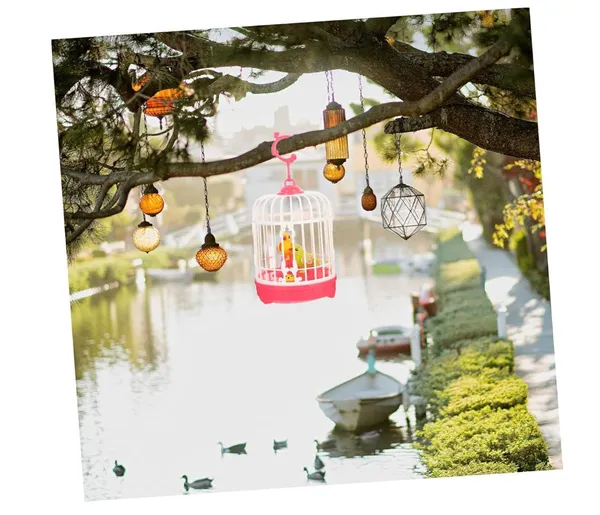 NOH_Smart_Talking_Bird_for_Kids_|_Musical_&_Speaking_Interactive_Toy_|_Chirping_Bird_in_Cage_|_Great_Gift_for_Children_(Multicolor)
