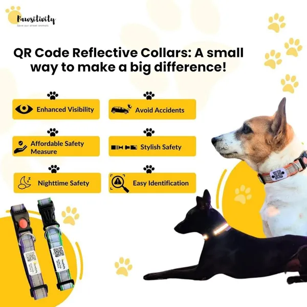 Green_Reflective_Collar_With_Qr_Feature_Paw_Elite_Version_(25_Inch)