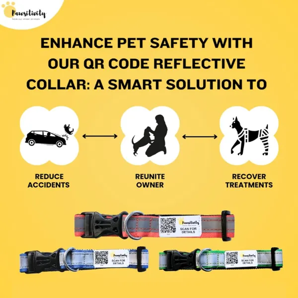 Yellow_Anti_Theft_Reflective_Collars_For_Dogs_(25_Inch)