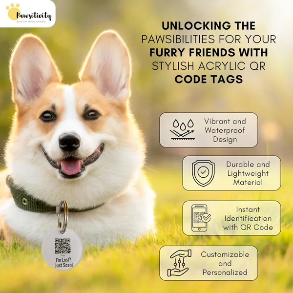 White_Tag_Id_With_Smart_Unique_Qr_Code_Feature_For_Dog_(25_Inch)