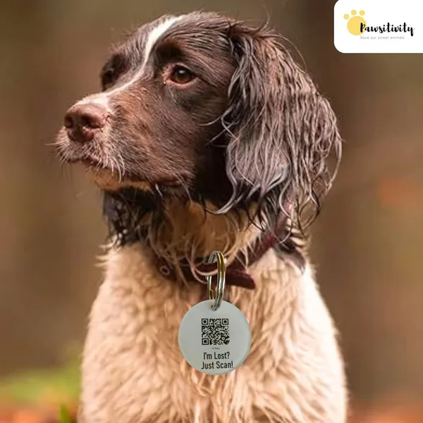 White_Tag_Id_With_Smart_Unique_Qr_Code_Feature_For_Dog_(25_Inch)