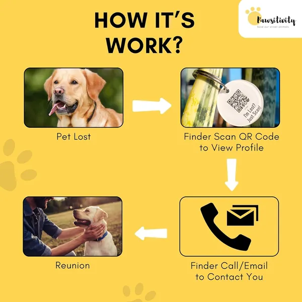 White_Tag_Id_With_Smart_Unique_Qr_Code_Feature_For_Dog_(25_Inch)