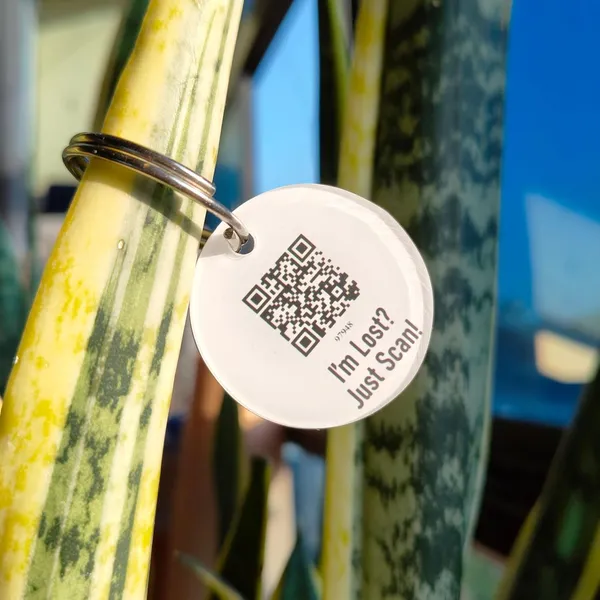 White_Tag_Id_With_Smart_Unique_Qr_Code_Feature_For_Dog_(25_Inch)