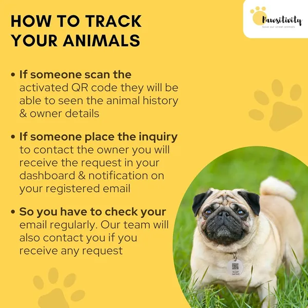 White_Tag_Id_With_Smart_Unique_Qr_Code_Feature_For_Dog_(25_Inch)