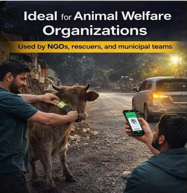 Yellow_Qr_Enabled_Reflective_Collar_For_Stray_Cows_(45_Inch)