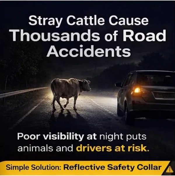 Yellow_Qr_Enabled_Reflective_Collar_For_Stray_Cows_(45_Inch)