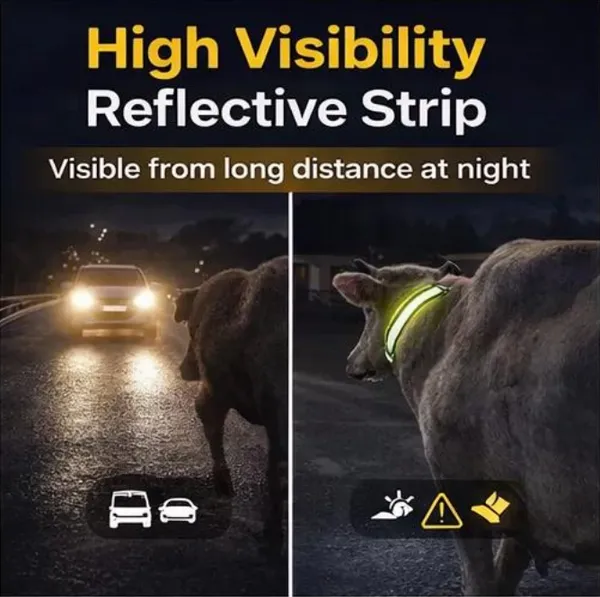 Yellow_Qr_Enabled_Reflective_Collar_For_Stray_Cows_(45_Inch)