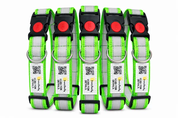 Green_Anti_Theft_Reflective_Collars_For_Dogs_(25_Inch)