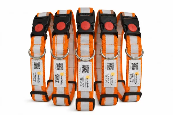 Orange_Anti_Theft_Reflective_Collars_For_Dogs_(25_Inch)