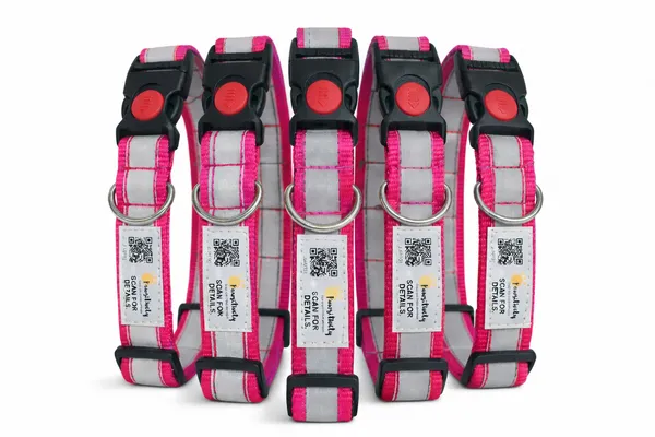 Pink_Anti_Theft_Reflective_Collars_For_Dogs_(25_Inch)