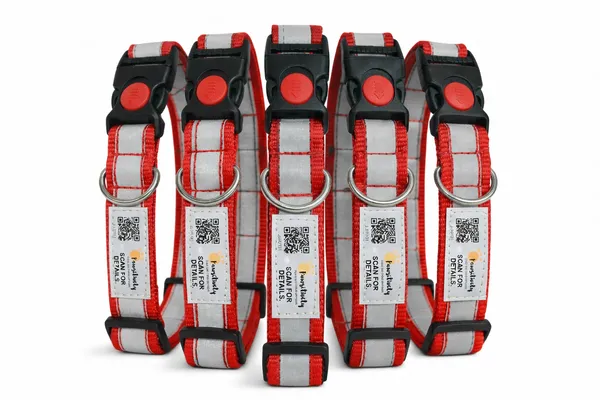 Red_Anti_Theft_Reflective_Collars_For_Dogs_(25_Inch)