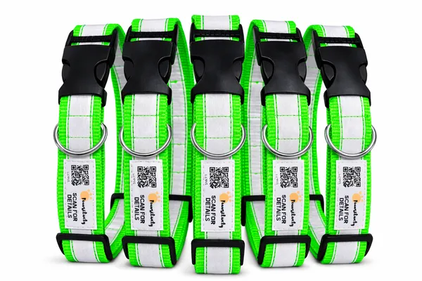 Green_Premium_Reflective_Collars_For_Dogs_(25_Inch)