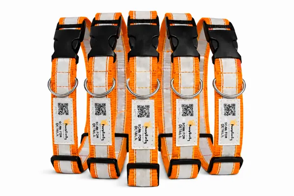 Orange_Premium_Reflective_Collars_For_Dogs_(25_Inch)