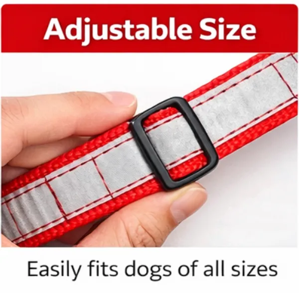 Purple_Premium_Reflective_Collars_For_Dogs_(25_Inch)